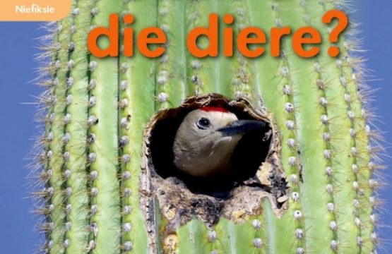 Oxford Storieboom Klanke Gr 2 Leesboek 9 Waar Skuil Al Die Diere (Nie-Fiksie)