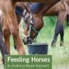 Feeding Horses